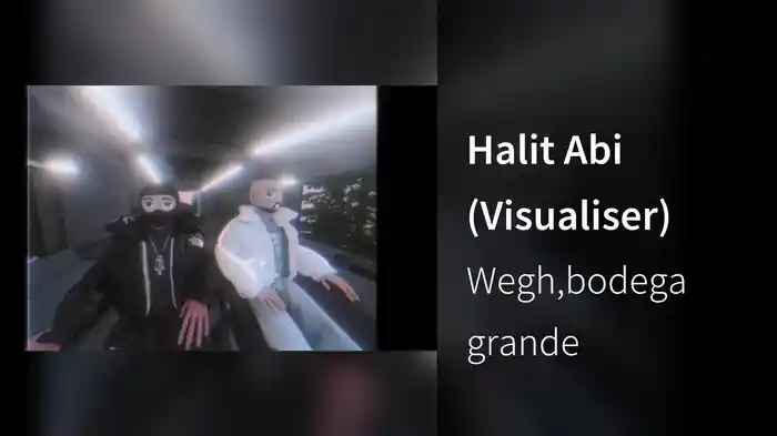 Halit Abi (Visualiser)