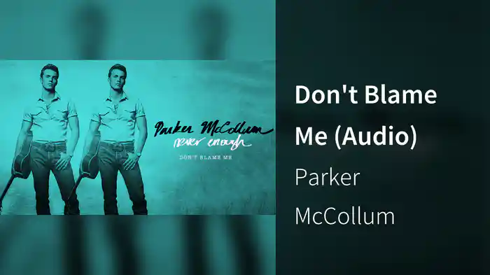 Don't Blame Me (Audio)