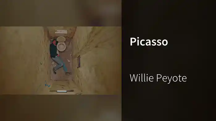 Picasso