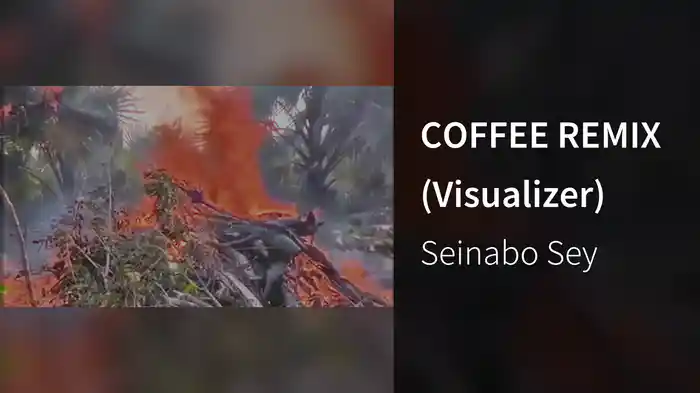 COFFEE REMIX (Visualizer)