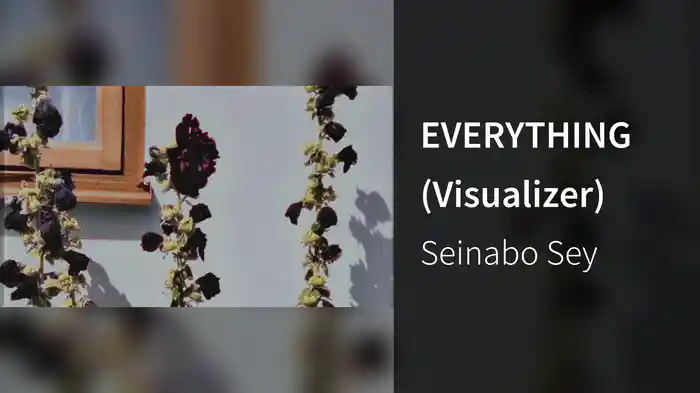 EVERYTHING (Visualizer)