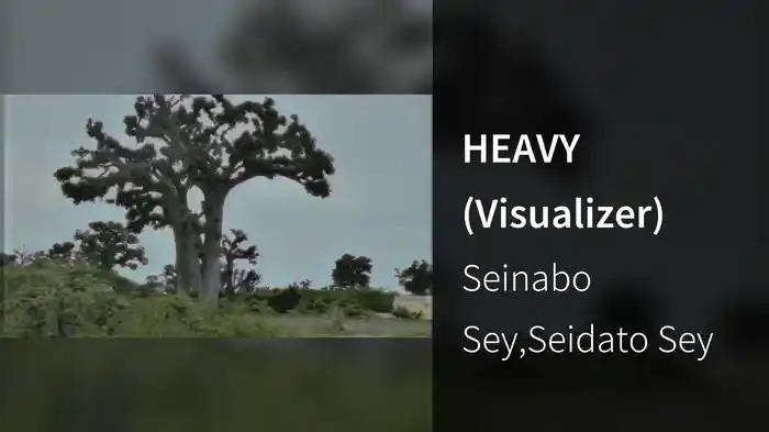 HEAVY (Visualizer)