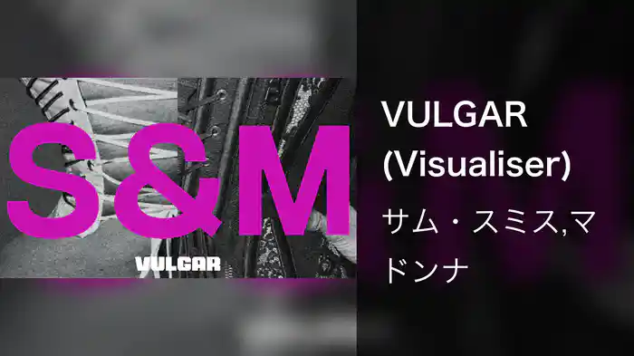 VULGAR (Visualiser)