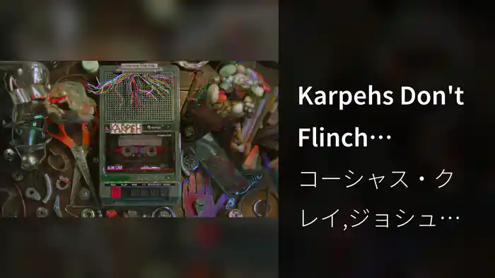 Karpehs Don't Flinch (Visualizer)