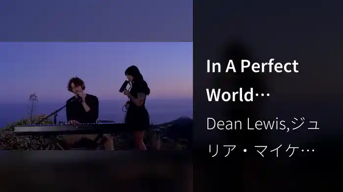 In A Perfect World (Acoustic / Live)