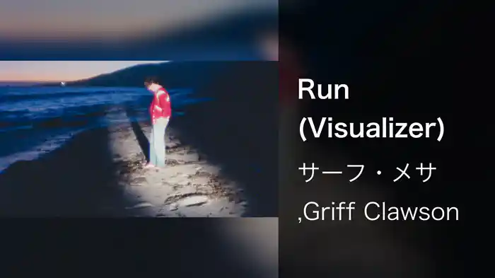Run (Visualizer)
