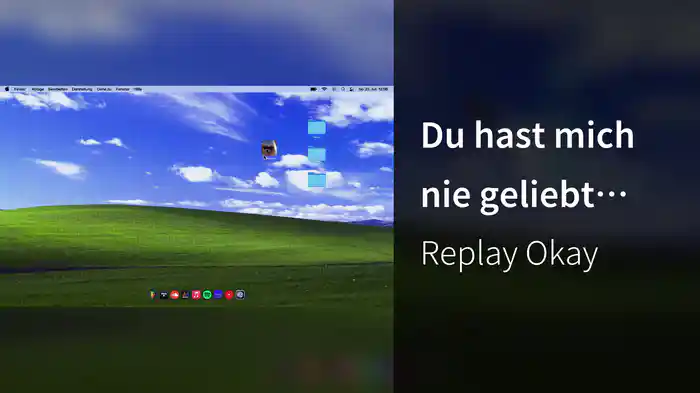 Du hast mich nie geliebt </3… (Lyric Video)