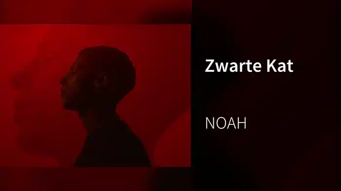 Zwarte Kat