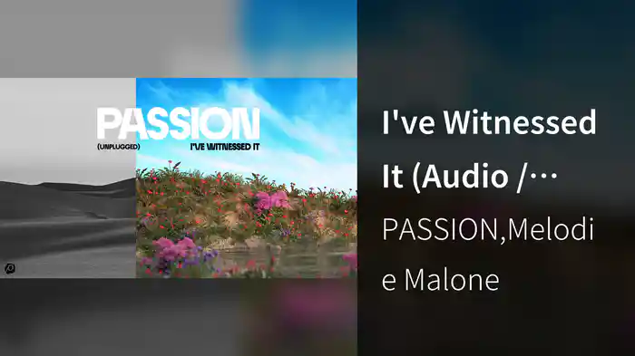 I've Witnessed It (Audio / Unplugged)