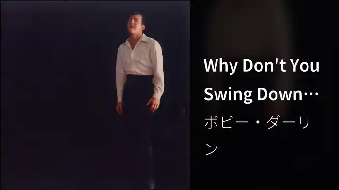 Why Don't You Swing Down (Audio)