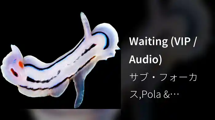 Waiting (VIP / Audio)