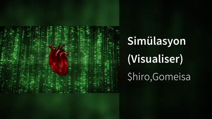 Simülasyon (Visualiser)