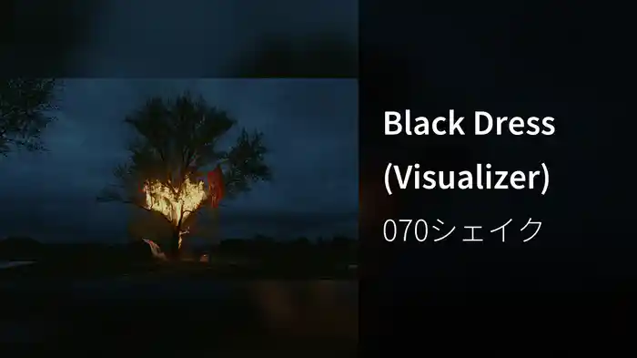 Black Dress (Visualizer)