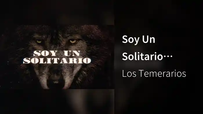 Soy Un Solitario (LETRA)