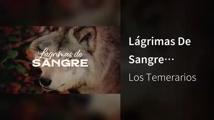 Lágrimas De Sangre (LETRA)