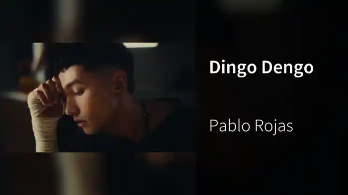 Dingo Dengo