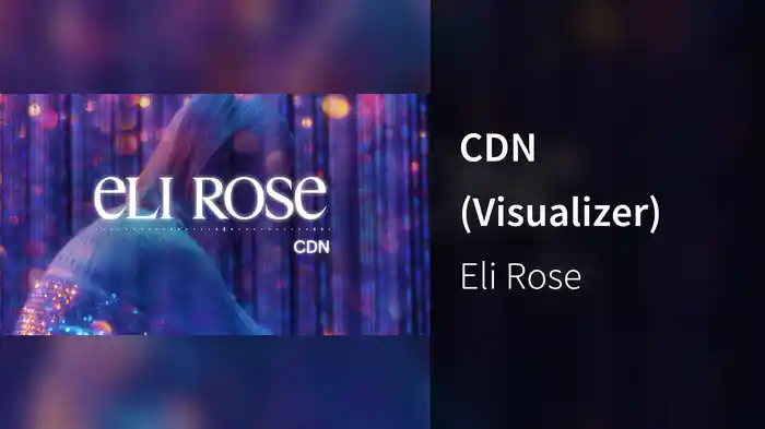 CDN (Visualizer)