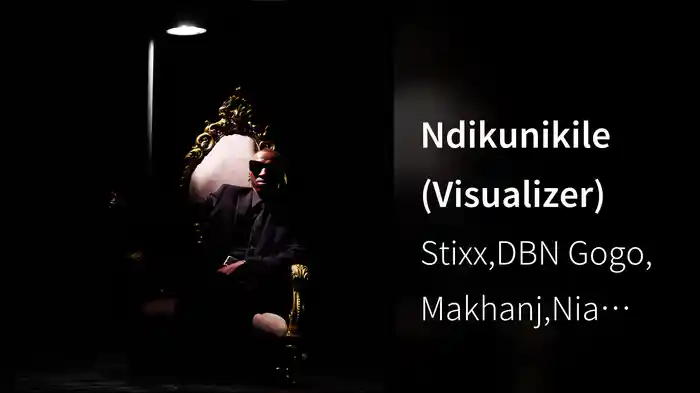 Ndikunikile (Visualizer)