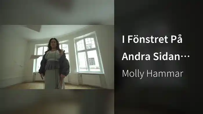 I Fönstret På Andra Sidan Gatan (Lyric Video)