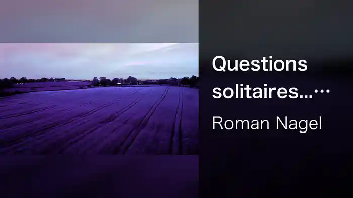 Questions solitaires... (Visualizer)