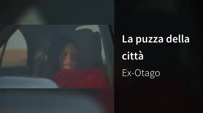 La puzza della città