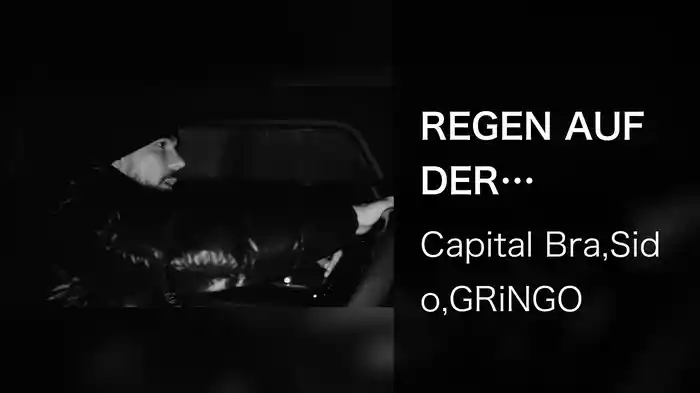 REGEN AUF DER FAHRBAHN (Lyric Video)