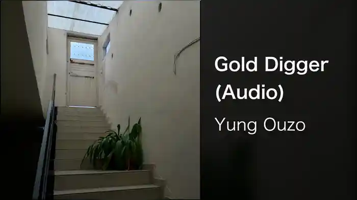 Gold Digger (Audio)