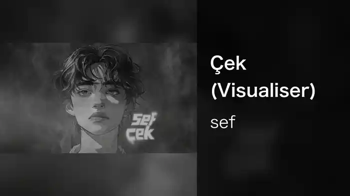 Çek (Visualiser)