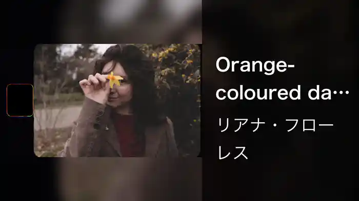 Orange-coloured day (Visualizer)