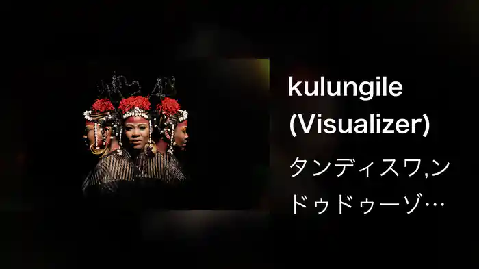 kulungile (Visualizer)