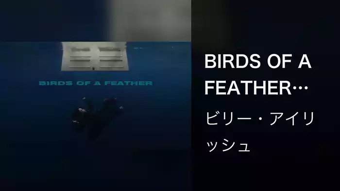 BIRDS OF A FEATHER (Lyric Video)
