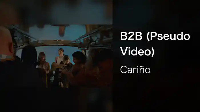 B2B (Pseudo Video)