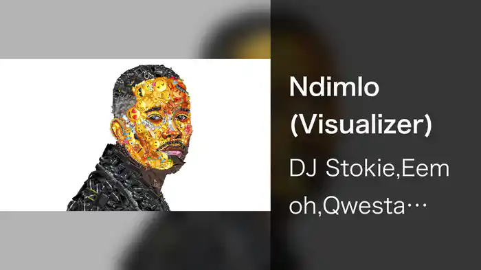 Ndimlo (Visualizer)