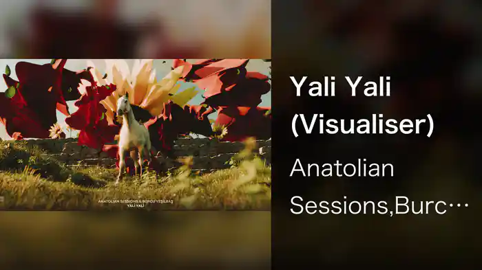 Yali Yali (Visualiser)