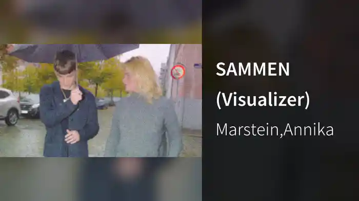 SAMMEN (Visualizer)