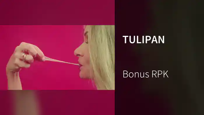 TULIPAN