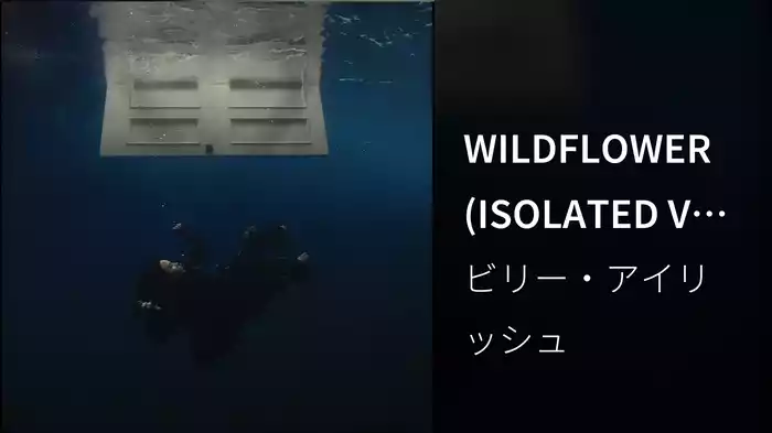 WILDFLOWER (ISOLATED VOCALS/Visualizer)