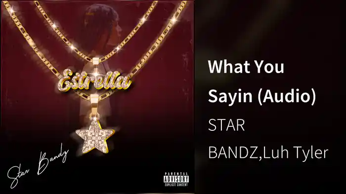 What You Sayin (Audio)