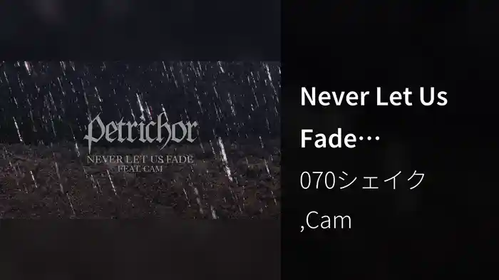 Never Let Us Fade (Visualizer)