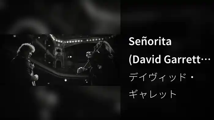 Señorita (David Garrett Edition / Millennium Symphony Theatre Session)