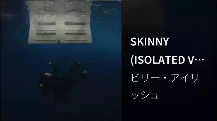 SKINNY (ISOLATED VOCALS/Visualizer)