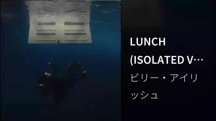 LUNCH (ISOLATED VOCALS/Visualizer)