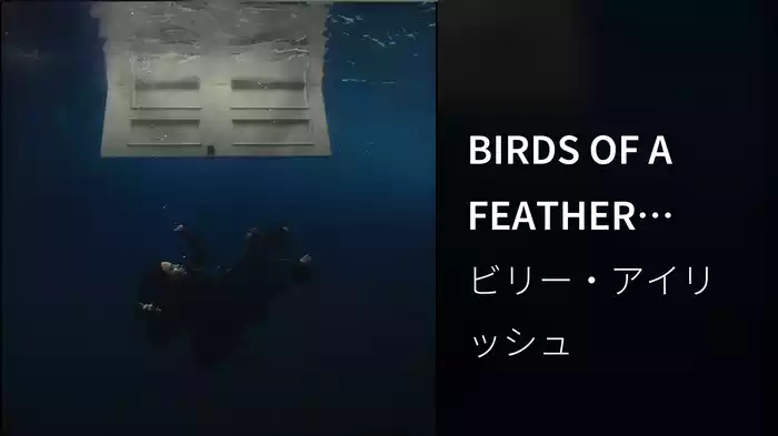 BIRDS OF A FEATHER (ISOLATED VOCALS/Visualizer)