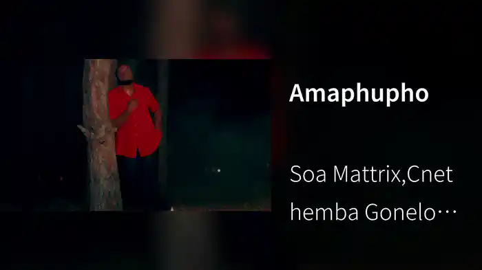 Amaphupho (Visualizer)