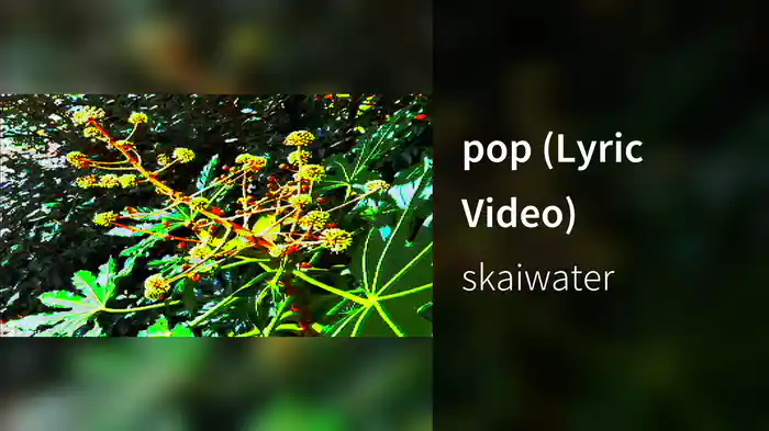 pop (Lyric Video)