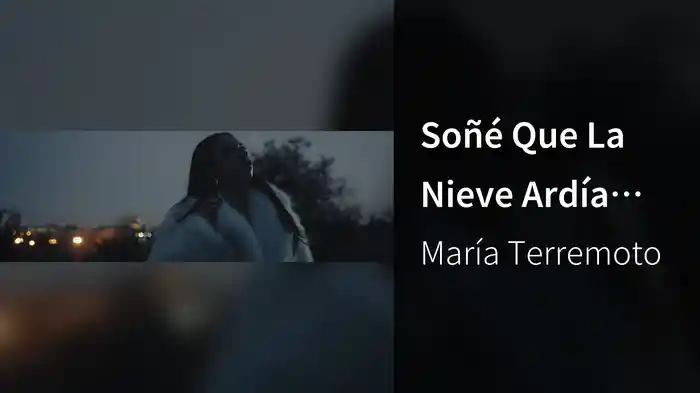 Soñé Que La Nieve Ardía (Soleá, Dudas / Visualizer)