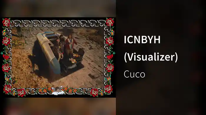 ICNBYH (Visualizer)