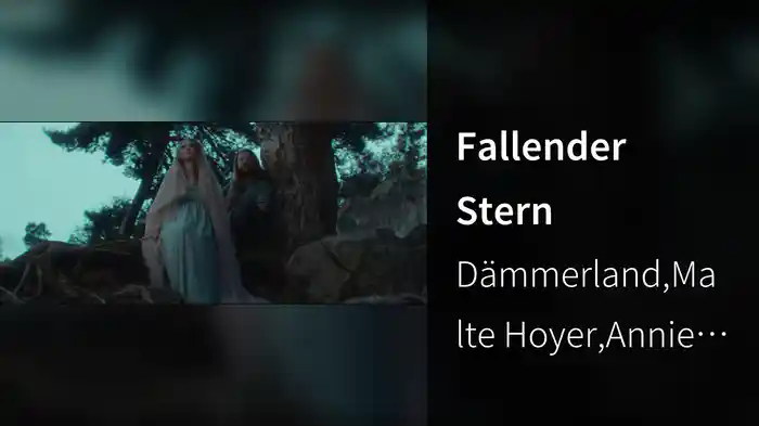 Fallender Stern