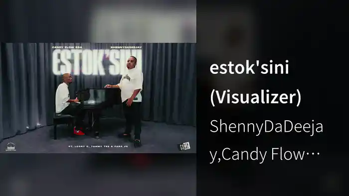 estok'sini (Visualizer)