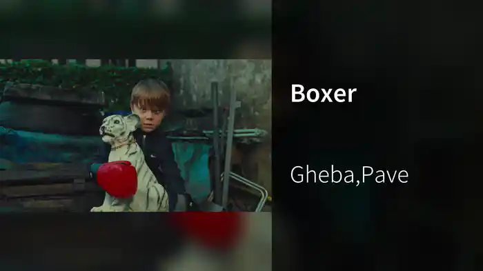 Boxer
